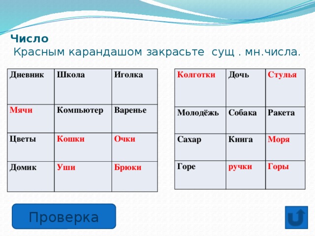 Число  Красным карандашом закрасьте  сущ . мн.числа.   Дневник Колготки Школа Дочь Молодёжь Мячи Сахар Стулья Собака Компьютер Цветы Иголка Кошки Книга Домик Ракета Горе Варенье Моря ручки Очки Уши Брюки Горы Проверка