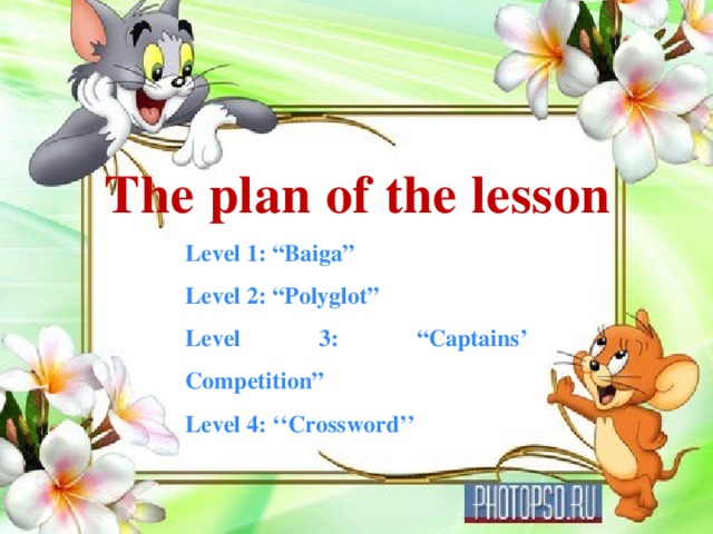 The plan of the lesson Level 1: “Baiga” Level 2: “Polyglot” Level 3:  “Captains’ Competition” Level 4: ‘‘Crossword’’