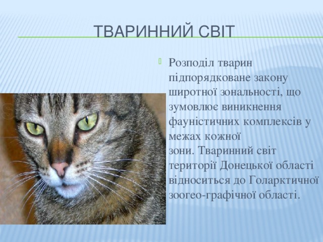 Тваринний світ