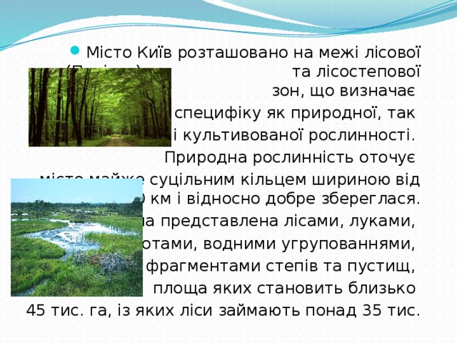 Місто Київ розташовано на межі лісової (Полісся) та лісостепової зон, що визначає