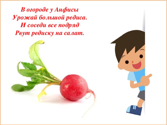 В огороде у Анфисы  Урожай большой редиса.  И соседи все подряд  Рвут редиску на салат.