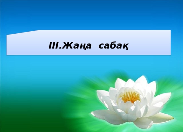 ІІІ.Жаңа сабақ