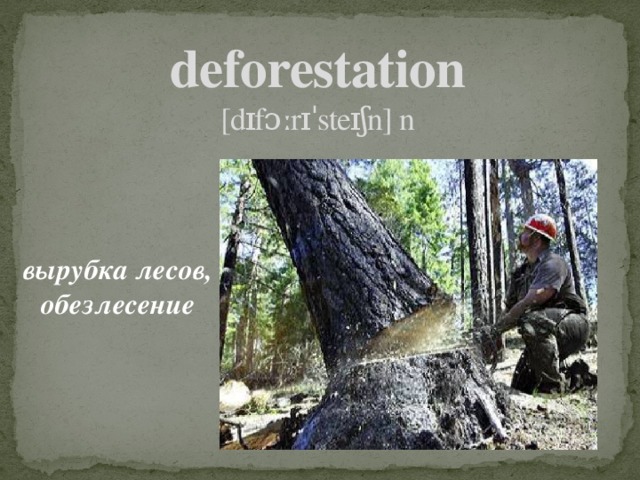 deforestation  [dɪfɔːrɪˈsteɪʃn] n вырубка лесов, обезлесение