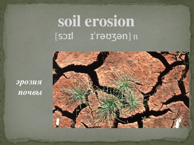 soil erosion  [ sɔɪl ɪˈrəʊʒən ] n эрозия почвы