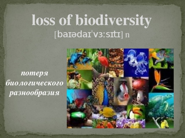 loss of biodiversity  [ baɪədaɪˈvɜːsɪtɪ ] n потеря биологического разнообразия