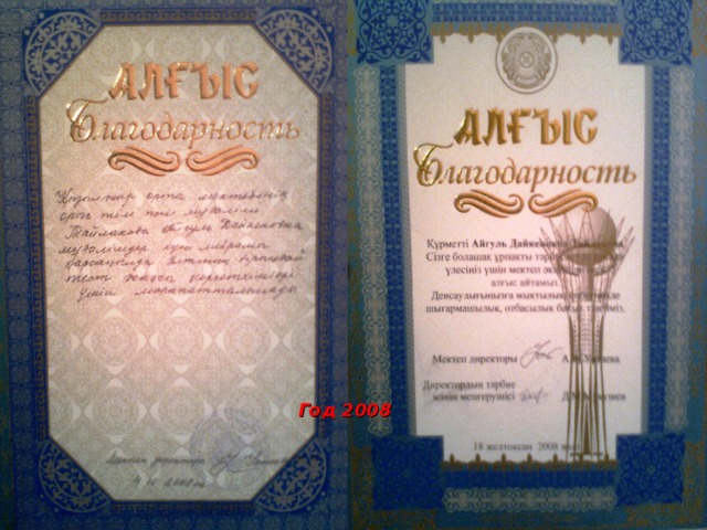 Год 2008