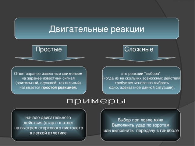 Двигательные реакции Простые Сложные Ответ заранее известным движением на заранее известный сигнал (зрительный, слуховой, тактильный) называется простой реакцией.  это реакции 