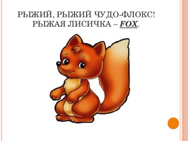 Рыжий, рыжий чудо-флокс!  Рыжая лисичка –  fox .