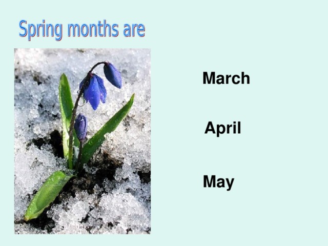 March  April  May