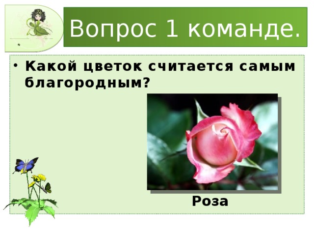 Вопрос 1 команде. Какой цветок считается самым благородным? Роза