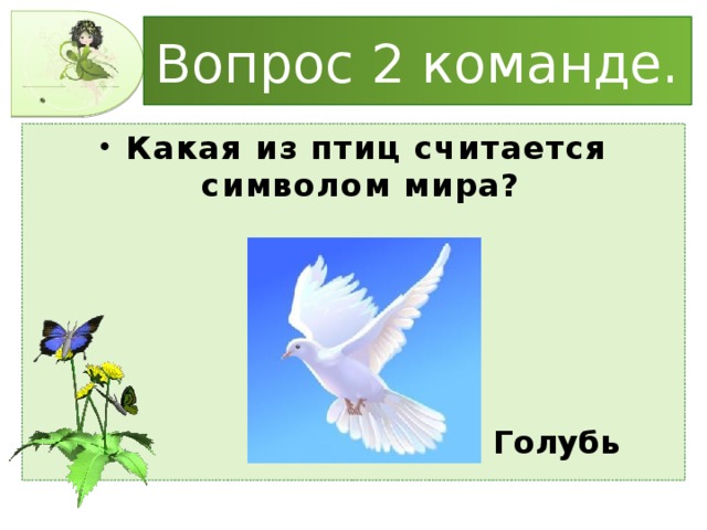 Вопрос 2 команде. Какая из птиц считается символом мира? Голубь