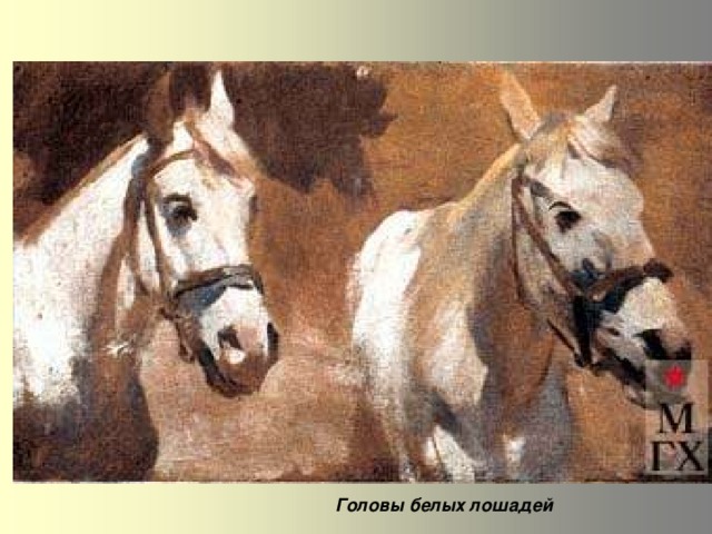 Головы белых лошадей