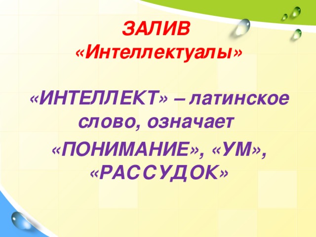 ЗАЛИВ  «Интеллектуалы»  «ИНТЕЛЛЕКТ» – латинское слово, означает «ПОНИМАНИЕ», «УМ», «РАССУДОК»