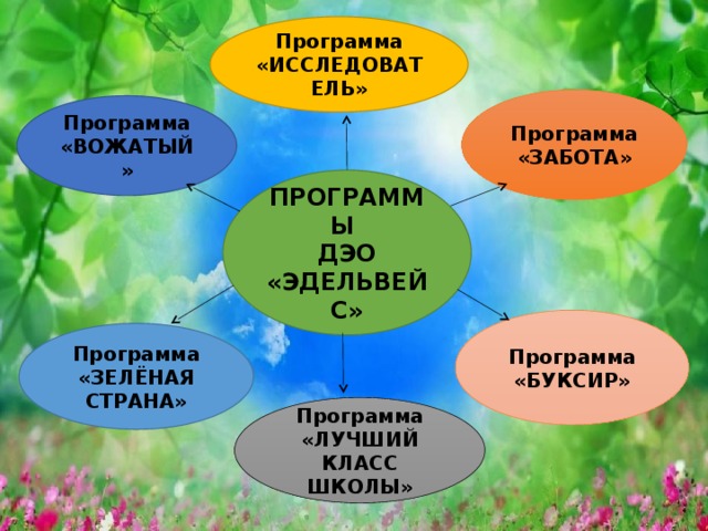 Программа «ИССЛЕДОВАТЕЛЬ» Программа «ЗАБОТА» Программа «ВОЖАТЫЙ» ПРОГРАММЫ ДЭО «ЭДЕЛЬВЕЙС» Программа «БУКСИР» Программа «ЗЕЛЁНАЯ СТРАНА» Программа «ЛУЧШИЙ КЛАСС ШКОЛЫ»