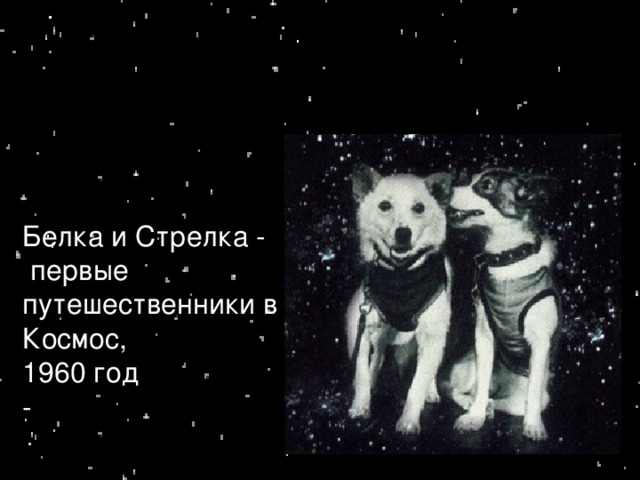 Белка и Стрелка -  первые путешественники в Космос, 1960 год -