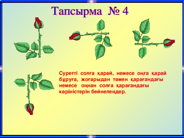 Суретті солға қарай, немесе оңға қарай бұруға, жоғарыдан төмен қарағандағы немесе оңнан солға қарағандағы көріністерін бейнелеңдер.