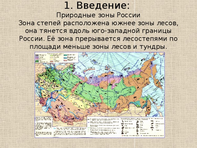 1. Введение:  Природные зоны России  Зона степей расположена южнее зоны лесов, она тянется вдоль юго-западной границы России. Её зона прерывается лесостепями по площади меньше зоны лесов и тундры.
