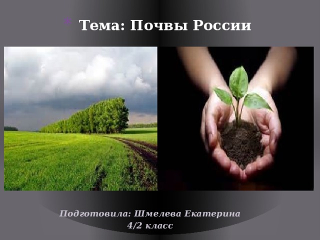 Тема: Почвы России