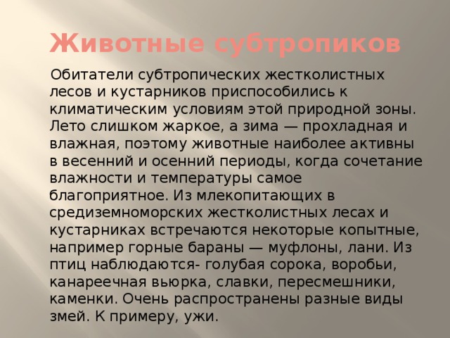 Животные субтропиков  Обитатели субтропических жестколистных лесов и кустарников приспособились к климатическим условиям этой природной зоны. Лето слишком жаркое, а зима — прохладная и влажная, поэтому животные наиболее активны в весенний и осенний периоды, когда сочетание влажности и температуры самое благоприятное. Из млекопитающих в средиземноморских жестколистных лесах и кустарниках встречаются некоторые копытные, например горные бараны — муфлоны, лани. Из птиц наблюдаются- голубая сорока, воробьи, канареечная вьюрка, славки, пересмешники, каменки. Очень распространены разные виды змей. К примеру, ужи.