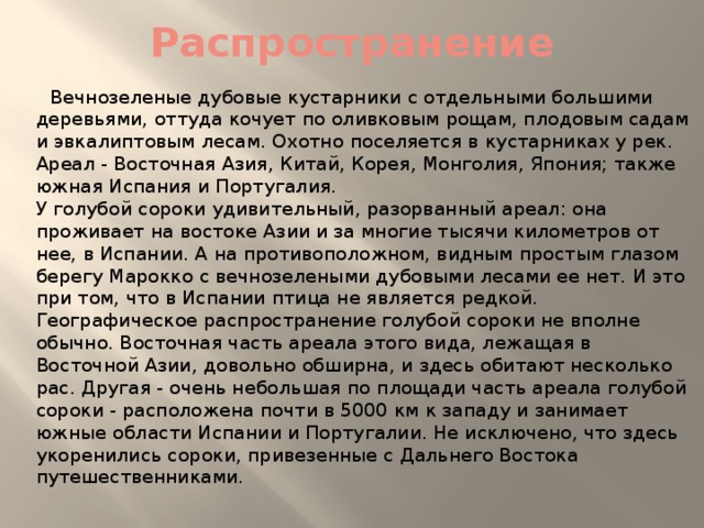 Распространение  Вечнозеленые дубовые кустарники с отдельными большими деревьями, оттуда кочует по оливковым рощам, плодовым садам и эвкалиптовым лесам. Охотно поселяется в кустарниках у рек.  Ареал - Восточная Азия, Китай, Корея, Монголия, Япония; также южная Испания и Португалия.  У голубой сороки удивительный, разорванный ареал: она проживает на востоке Азии и за многие тысячи километров от нее, в Испании. А на противоположном, видным простым глазом берегу Марокко с вечнозелеными дубовыми лесами ее нет. И это при том, что в Испании птица не является редкой.  Географическое распространение голубой сороки не вполне обычно. Восточная часть ареала этого вида, лежащая в Восточной Азии, довольно обширна, и здесь обитают несколько рас. Другая - очень небольшая по площади часть ареала голубой сороки - расположена почти в 5000 км к западу и занимает южные области Испании и Португалии. Не исключено, что здесь укоренились сороки, привезенные с Дальнего Востока путешественниками.