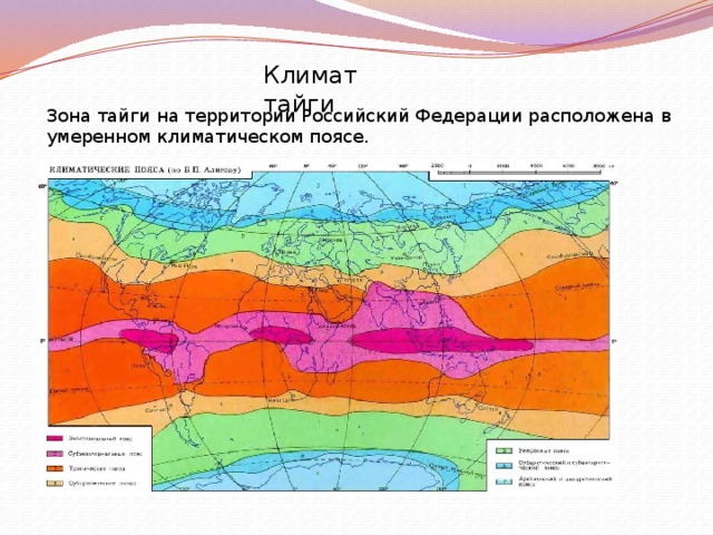 Климат тайги Зона тайги на территории Российский Федерации расположена в умеренном климатическом поясе.
