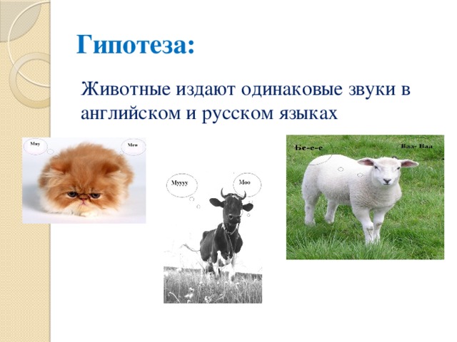 Гипотеза: Животные издают одинаковые звуки в английском и русском языках