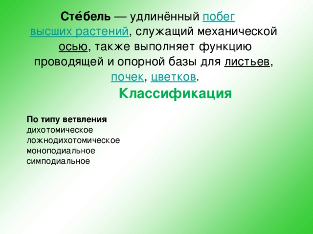 Сте́бель  — удлинённый  побег   высших растений , служащий механической  осью , также выполняет функцию проводящей и опорной базы для  листьев ,  почек ,  цветков . Классификация По типу ветвления дихотомическое ложнодихотомическое моноподиальное симподиальное