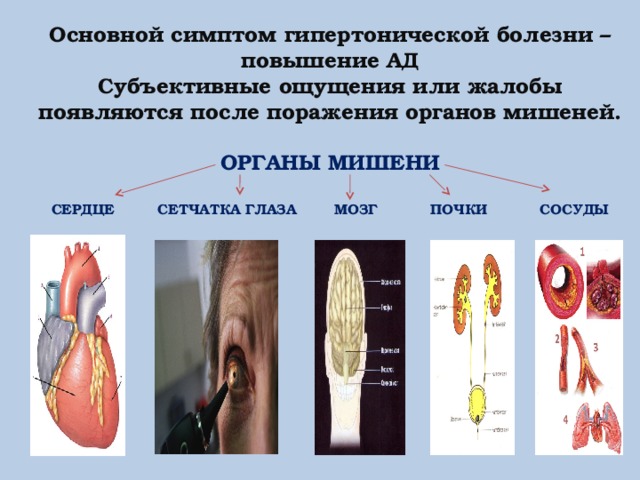 Дэп на фоне гипертонической болезни