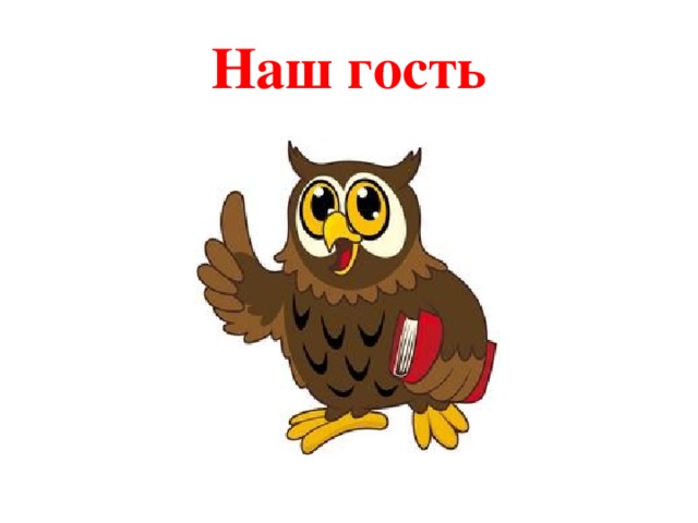 Наш гость