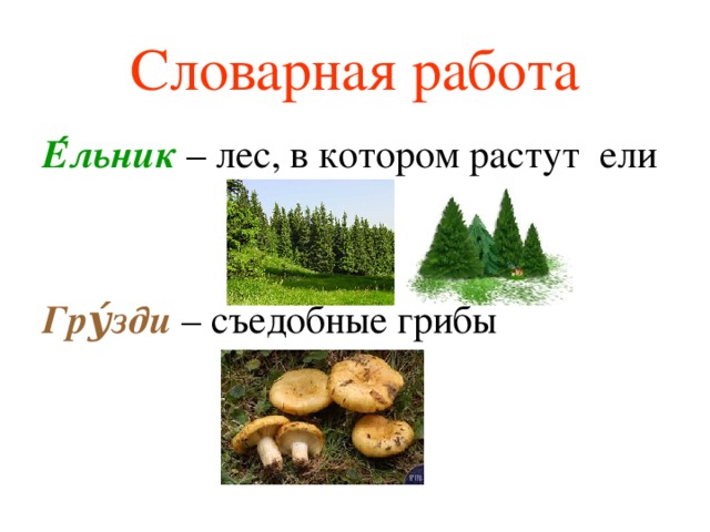 Словарная работа Е ́льник  – лес, в котором растут ели Гру́зди – съедобные грибы
