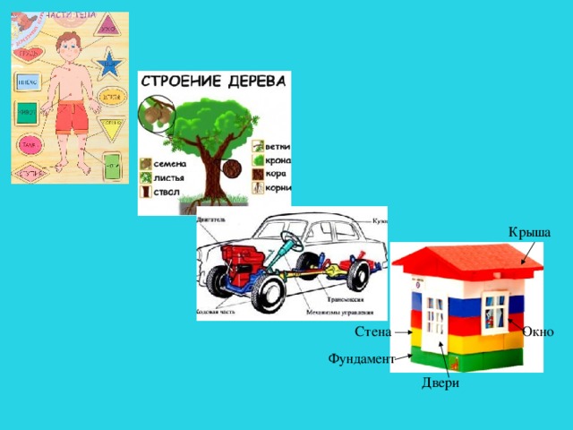 Крыша Стена Окно Фундамент Двери