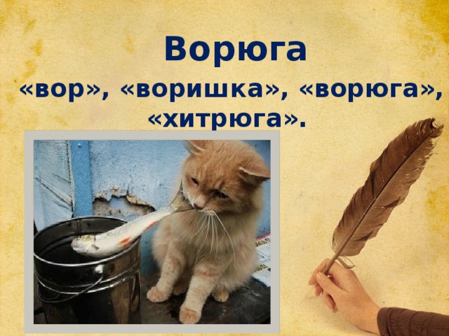 Ворюга  «вор», «воришка», «ворюга», «хитрюга».