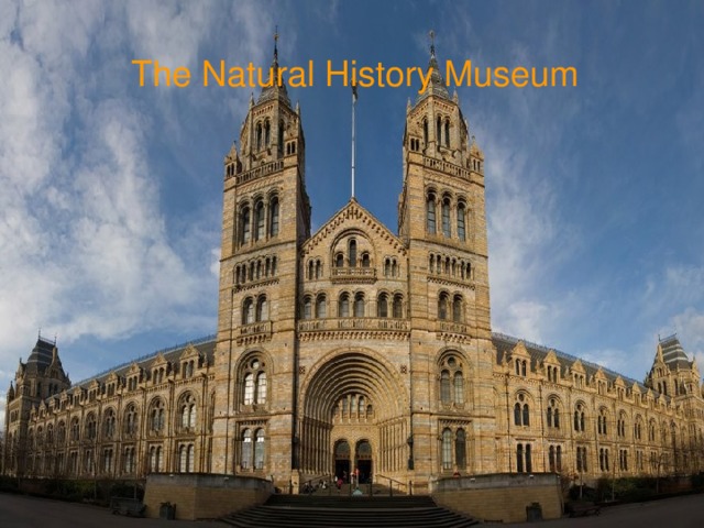 The Natural History Museum