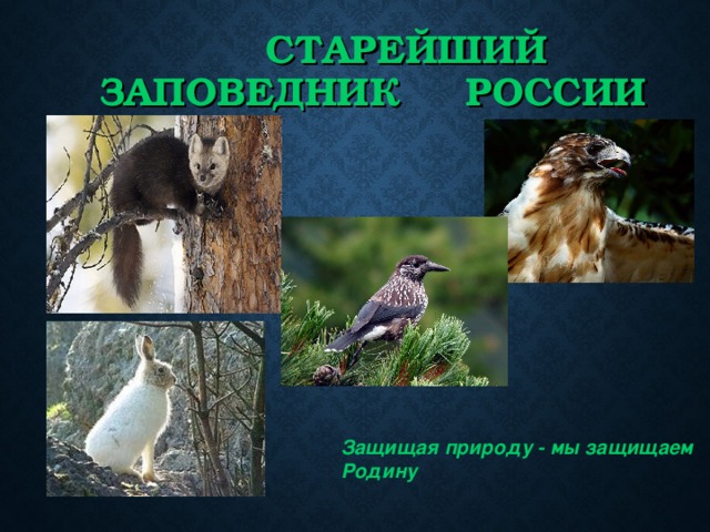 СТАРЕЙШИЙ ЗАПОВЕДНИК РОССИИ Защищая природу - мы защищаем Родину   ( М.Пришвин)