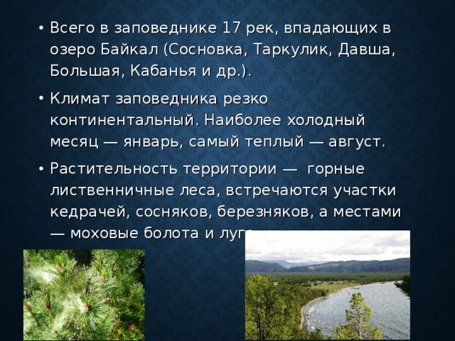 Всего в заповеднике 17 рек, впадающих в озеро Байкал (Сосновка, Таркулик, Давша, Большая, Кабанья и др.). Климат заповедника резко континентальный. Наиболее холодный месяц — январь, самый теплый — август. Растительность территории — горные лиственничные леса, встречаются участки кедрачей, сосняков, березняков, а местами — моховые болота и луга.