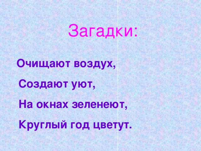 Загадки:  Очищают воздух,  Создают уют,  На окнах зеленеют,  Круглый год цветут.