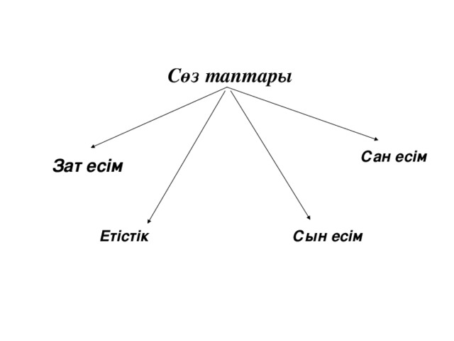 Сөз таптары Сан есім Зат есім Етістік Сын есім