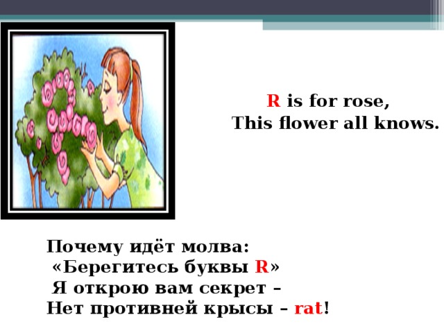 R is for rose,  Th i s flower all knows.    Почему идёт молва :  «Берегитесь буквы R »   Я открою вам секрет – Нет противней крысы – rat !