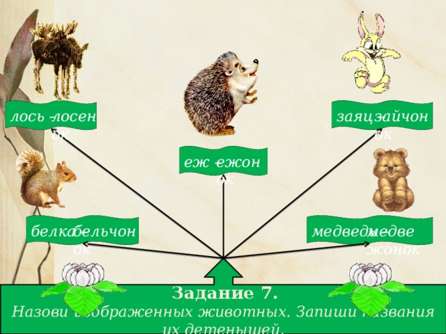 заяц – лось – лосенок зайчонок еж – ежонок белка – медведь – бельчонок медвежонок  Задание 7. Назови изображенных животных. Запиши названия их детенышей.