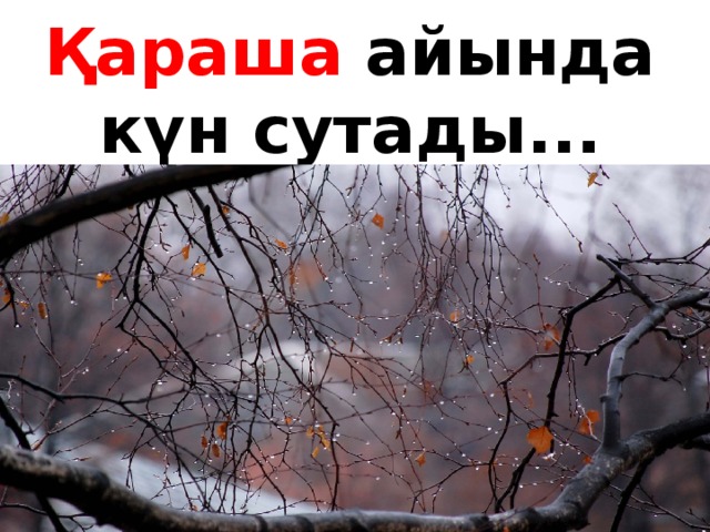 Қараша айында күн сутады...