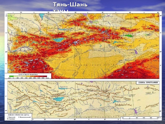 Тянь-Шань  тауы