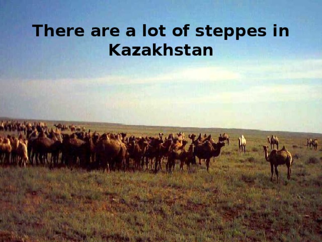 There  are a lot of steppes in Kazakhstan