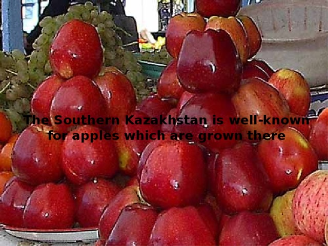 The Southern Kazakhstan is well-known for apples which are grown there