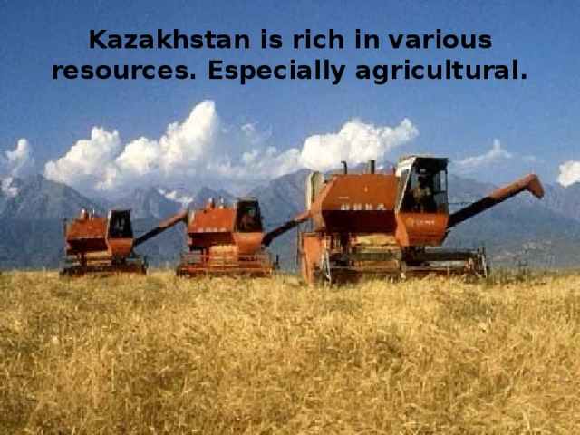 Kazakhstan is rich in various resources. Especially agricultural.
