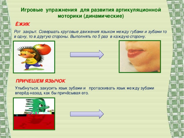 Игровые упражнения для развития артикуляционной моторики (динамические) ЁЖИК Рот закрыт. Совершать круговые движения языком между губами и зубами то в одну, то в другую стороны. Выполнять по 5 раз в каждую сторону. ПРИЧЕШЕМ ЯЗЫЧОК Улыбнуться, закусить язык зубами и протаскивать язык между зубами вперёд-назад, как бы причёсывая его.