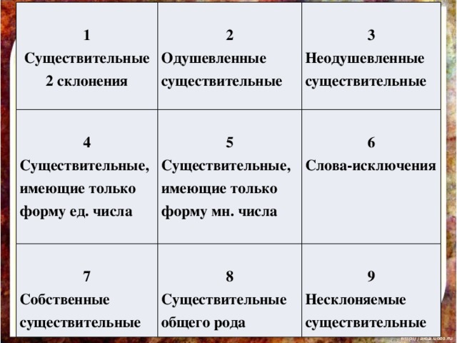 1  Существительные 2 склонения   4  2  Существительные, имеющие только форму ед. числа Одушевленные существительные 3  7 5 Неодушевленные существительные 6 Существительные, имеющие только форму мн. числа Собственные существительные  8 Слова-исключения  Существительные общего рода 9 Несклоняемые существительные