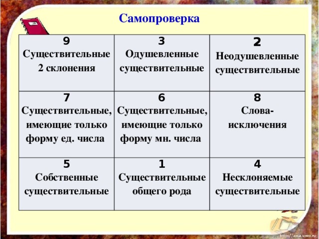 Самопроверка 9 Существительные 2 склонения 7 3 Одушевленные существительные 2 5 Существительные, имеющие только форму ед. числа 6 1 Собственные существительные 8 Существительные, имеющие только форму мн. числа  Неодушевленные существительные  Слова-исключения   Существительные общего рода 4    Несклоняемые существительные