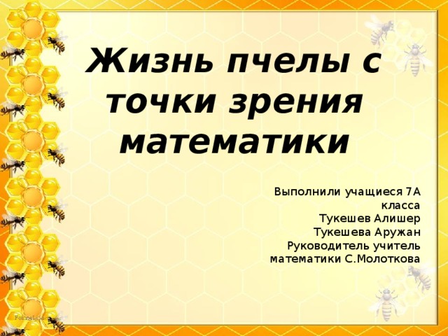 Жизнь пчелы с точки зрения математики Выполнили учащиеся 7А класса Тукешев Алишер Тукешева Аружан Руководитель учитель математики С.Молоткова