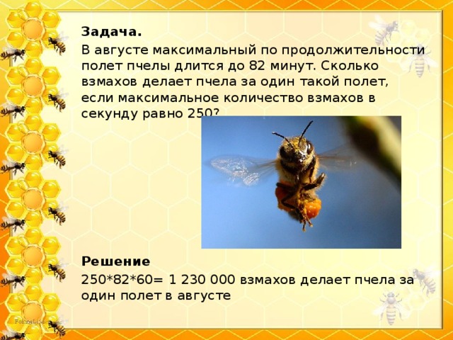 Задача. В августе максимальный по продолжительности полет пчелы длится до 82 минут. Сколько взмахов делает пчела за один такой полет, если максимальное количество взмахов в секунду равно 250?     Решение 250*82*60= 1 230 000 взмахов делает пчела за один полет в августе