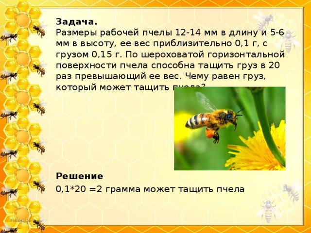 Задача.  Размеры рабочей пчелы 12-14 мм в длину и 5-6 мм в высоту, ее вес приблизительно 0,1 г, с грузом 0,15 г. По шероховатой горизонтальной поверхности пчела способна тащить груз в 20 раз превышающий ее вес. Чему равен груз, который может тащить пчела? Решение 0,1*20 =2 грамма может тащить пчела